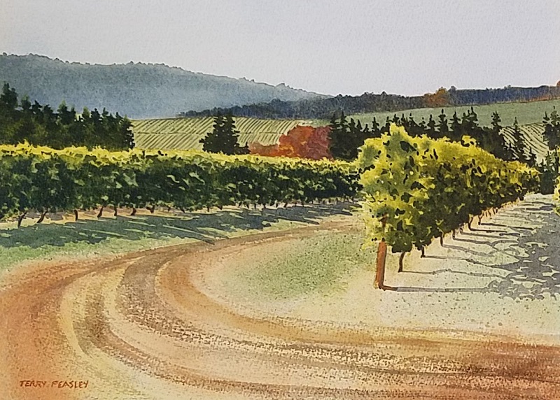 Knudsen Vineyards by Terry Peasley