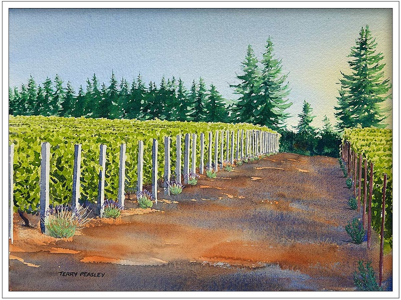 Sequitur Vineyard by Terry Peasley