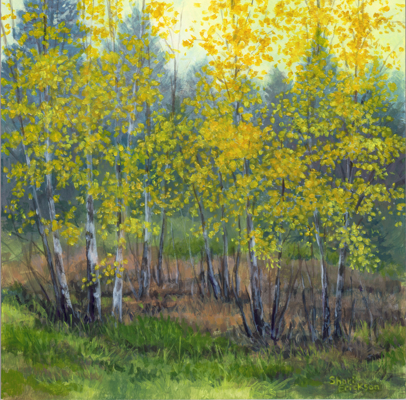 Birches by Shari Erickson