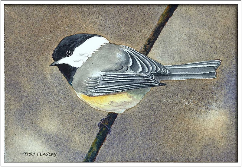 Black Capped Chickadee by Terry Peasley