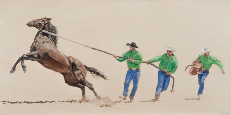Wild Mustang Team Work by Jim Richards