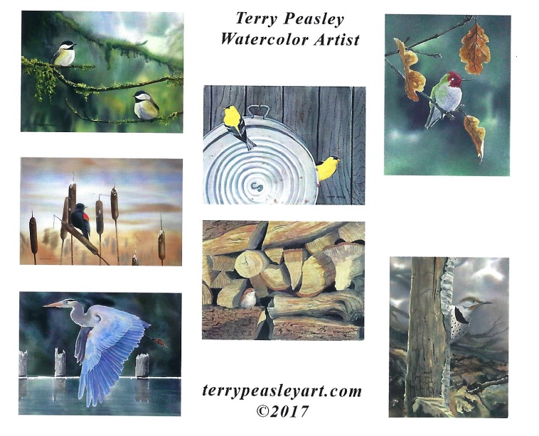 Greeting Card Pack - Birds by Terry Peasley