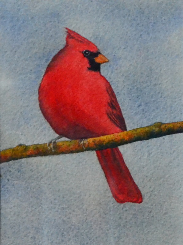 Cardinal Study by Terry Peasley
