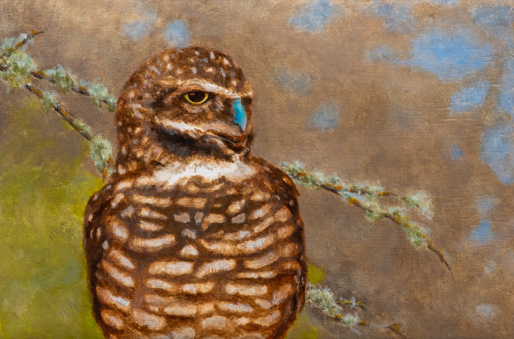 Henry Doorly Zoo Burrowing Owl by Jim Richards