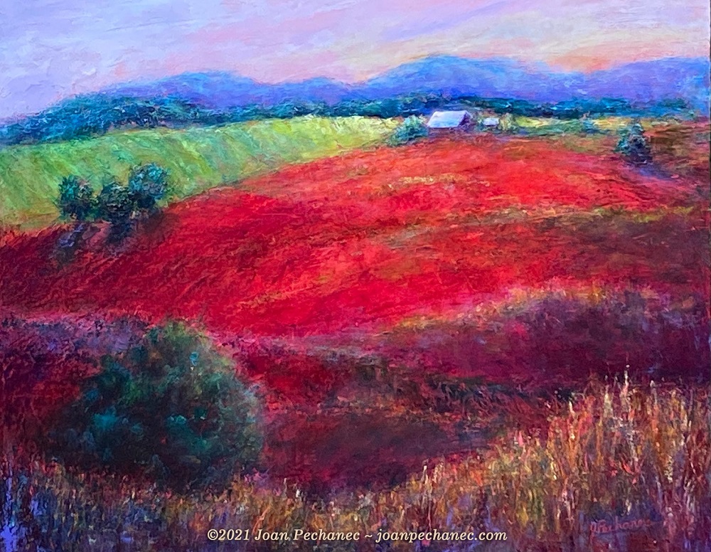 Red Clover by Joan Pechanec
