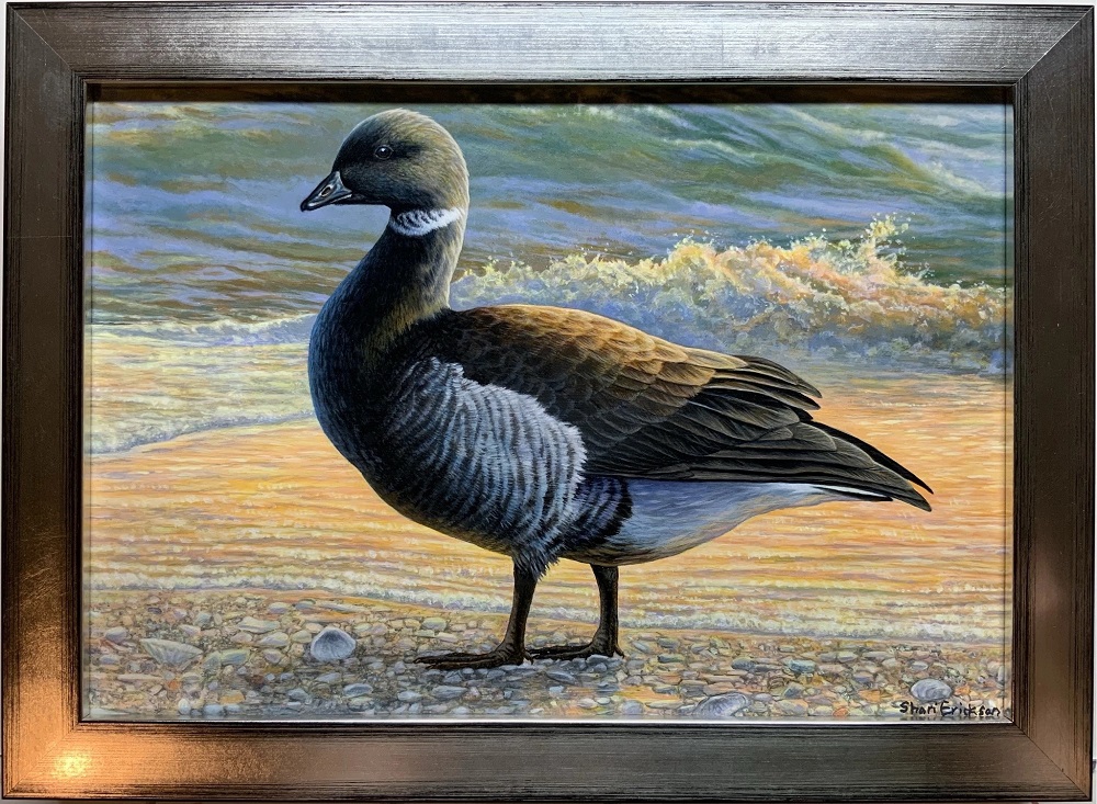 Brant Goose by Shari Erickson