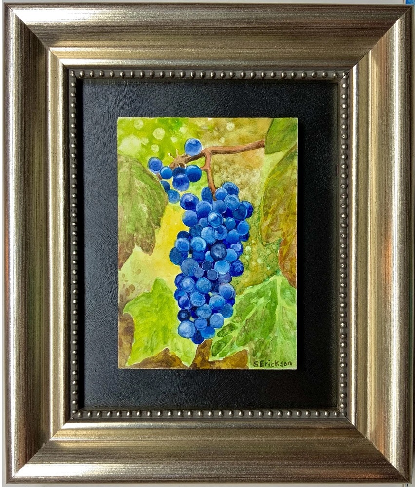 Wine Grapes After Rain by Shari Erickson