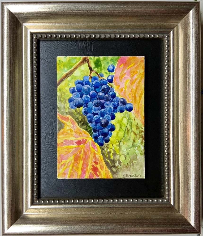 Wine Grapes in Autumn by Shari Erickson