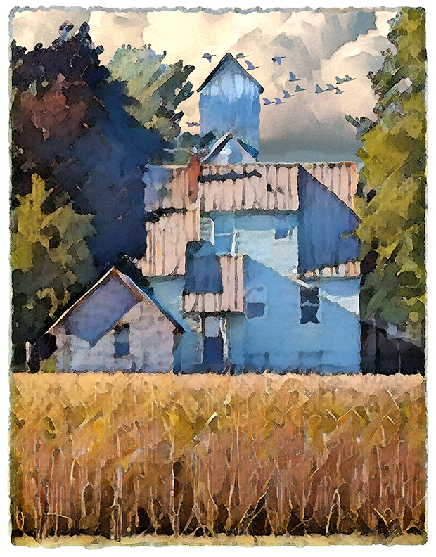 Wheat Farm by Fred Hartson
