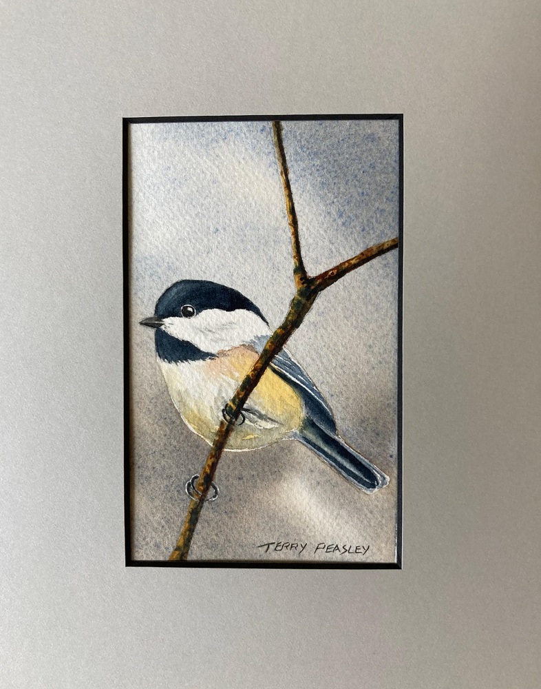 Chickadee Series 3 by Terry Peasley