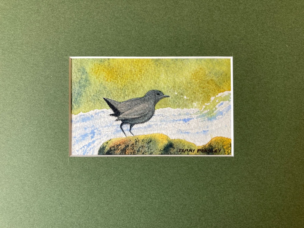 Ouzel Series 1 by Terry Peasley
