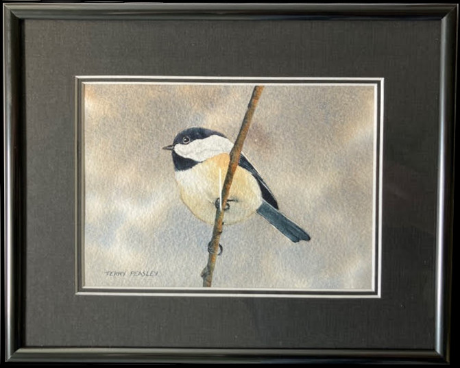 Black Capped Chickadee by Terry Peasley