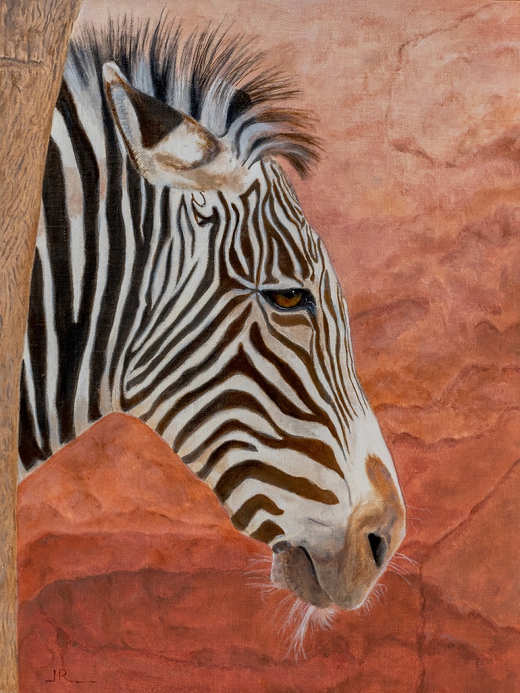 St. Louis Zebra by Jim Richards