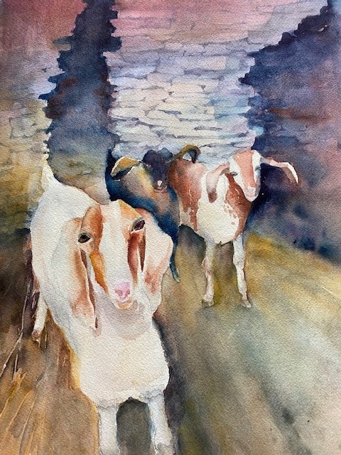 Greek Goats by Toni Tyree