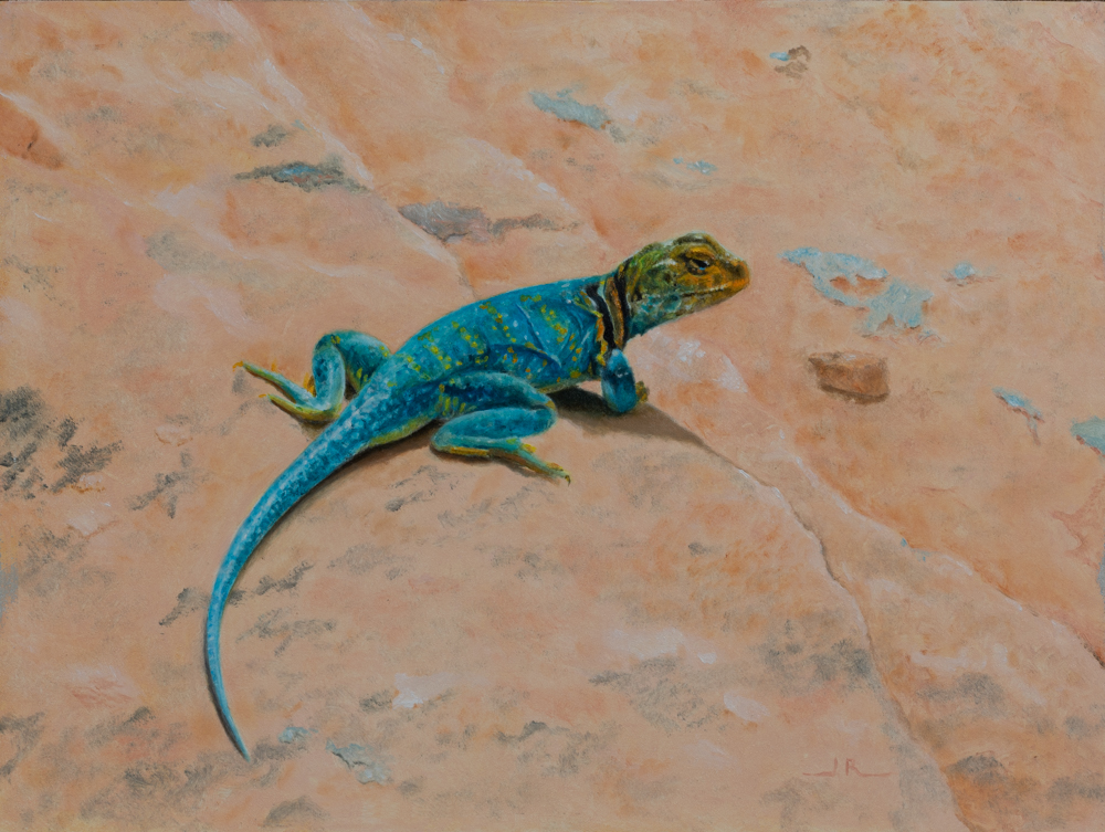 Turquoise Predator by Jim Richards