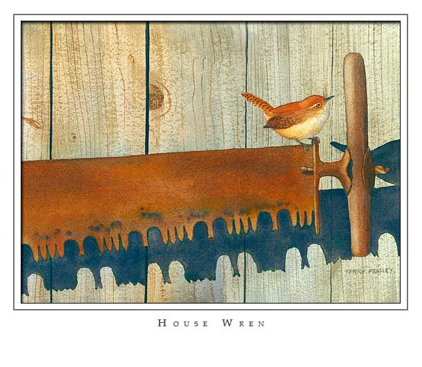 House Wren by Terry Peasley