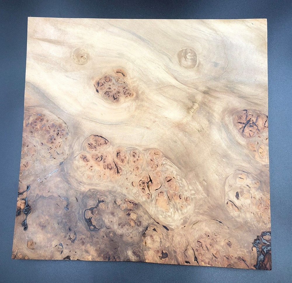 Platter - Square Shallow Maple Root Burl by Michael Pedemonte