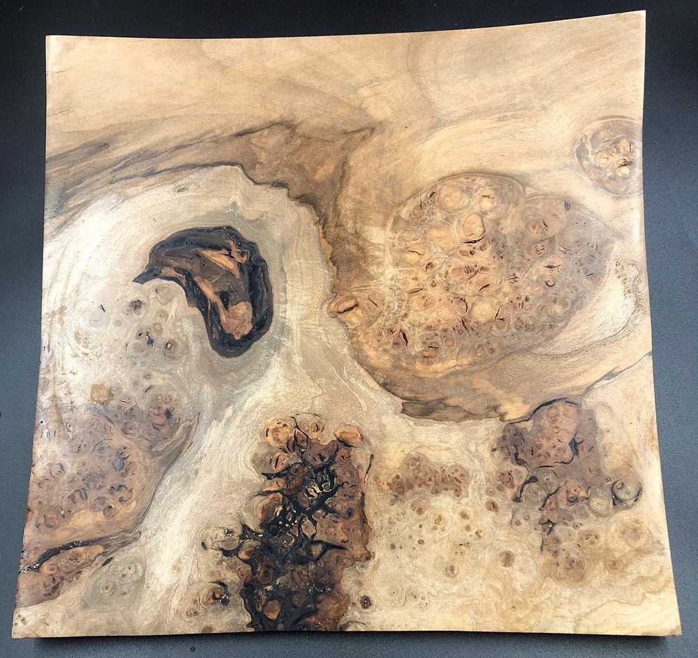 Platter - Square Shallow Maple Root Burl by Michael Pedemonte