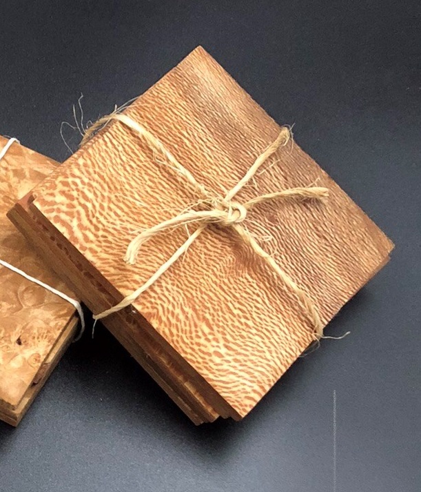 Coasters - Sycamore (Set of 5) by Michael Pedemonte
