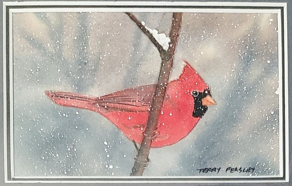 Cardinal in Winter by Terry Peasley