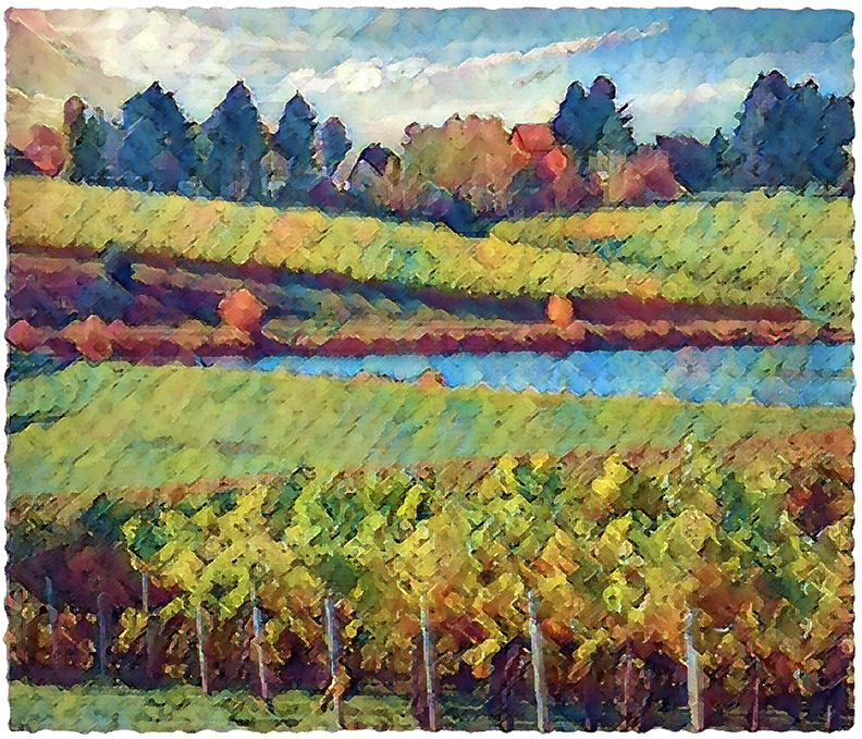Vineyard Reservoir by Fred Hartson