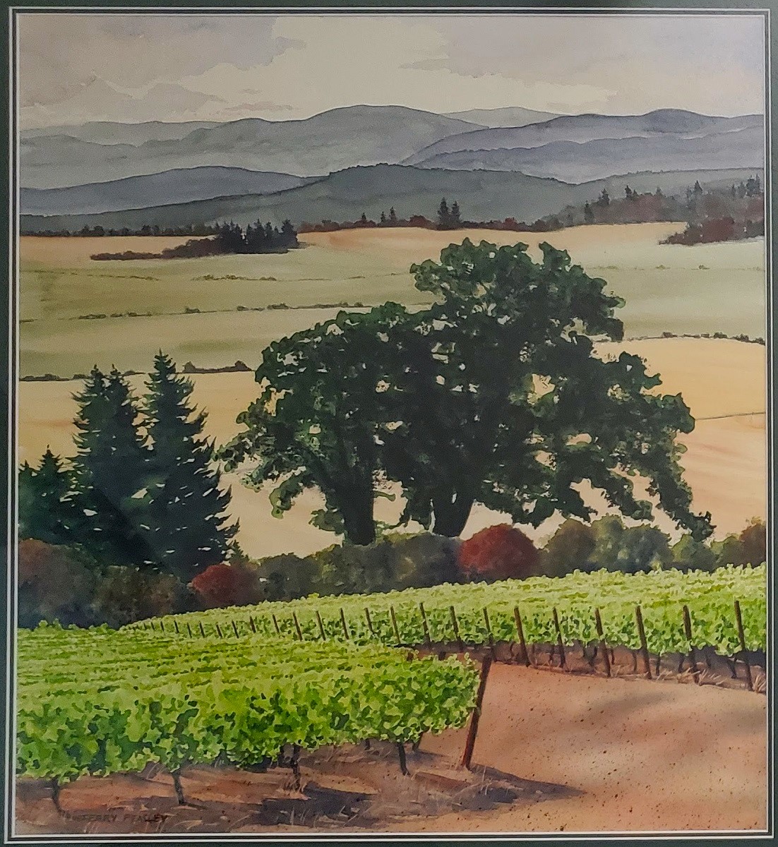 Oak in the Vineyard by Terry Peasley