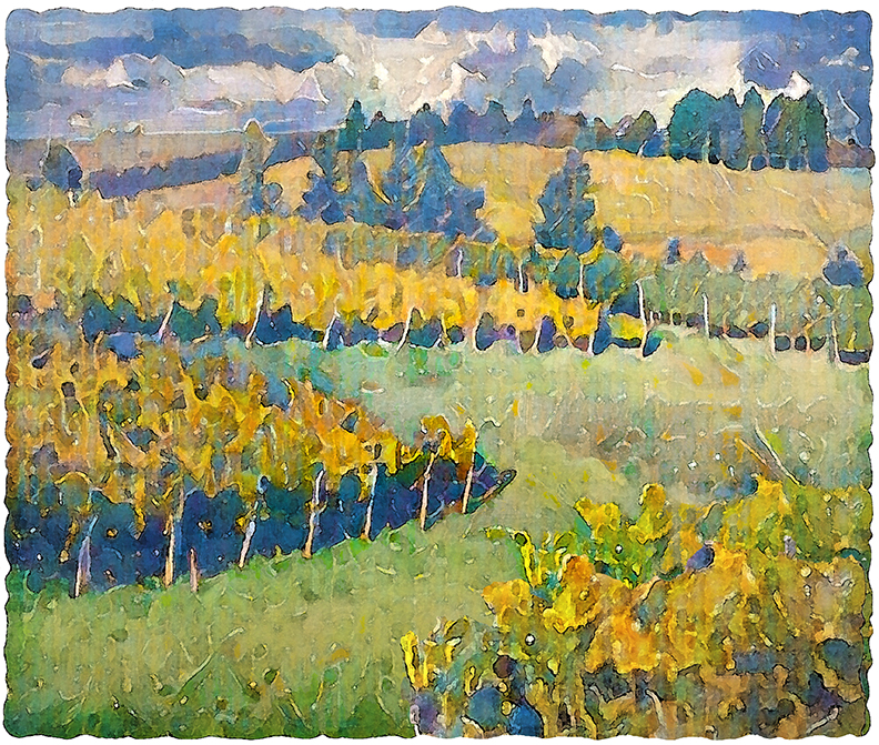 Sass Vineyard by Fred Hartson