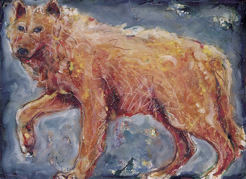 Denali Wolf by Richard T. Schanche