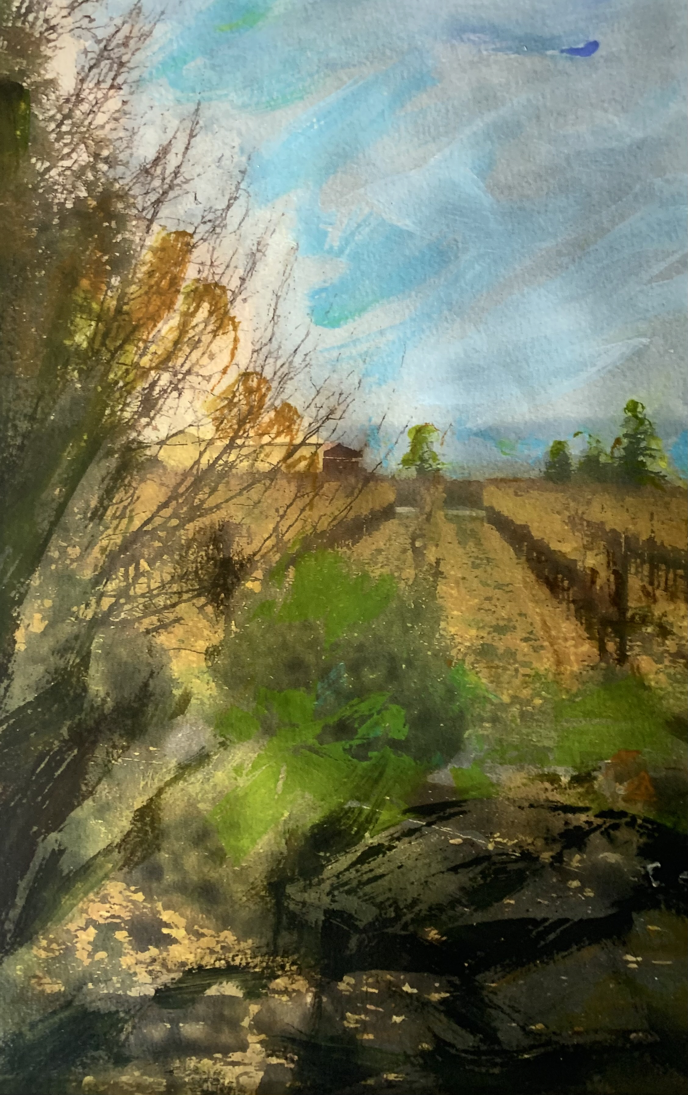 Sean's View at Bjornson by Dan Homeres