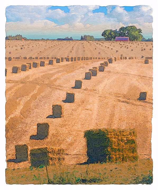 Bales Ready to Stack by Fred Hartson