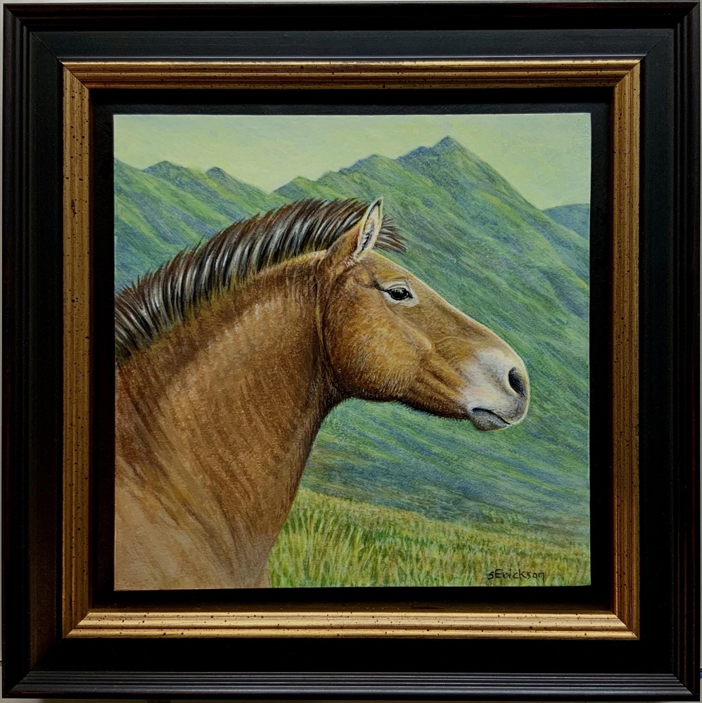 Przewalski's Horse by Shari Erickson