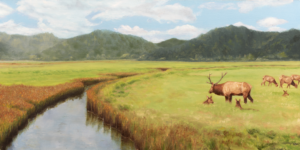 Dean Creek Elk by Jim Richards