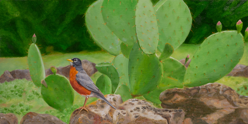 Blossoming Prickly Pear and Robin by Jim Richards